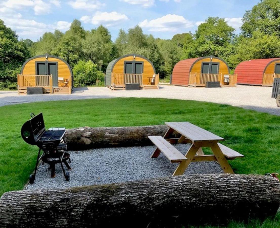Forest Pod 4 Pet Friendly Βίλα Neath Εξωτερικό φωτογραφία